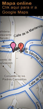 Ver direccion en Google Maps
